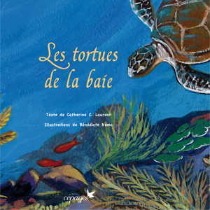 Couv-Les tortues-IMP (18/18).indd