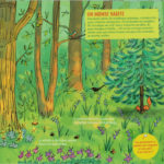 LUDIDOC FORET img1 syllabes