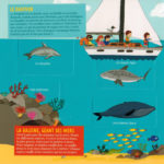 LUDIDOC MER img2 syllabes