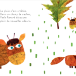 PETIT RENARD img2