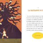 41000584_aventures_pegase_DP1