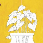 le chat et la coccinelle