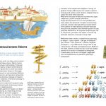 MATHEMATICS - HISTORY OF IDEAS img1