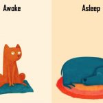 UneHistoireDeContraires