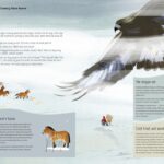 steppe_inner