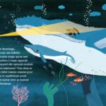 Coco and the submarine