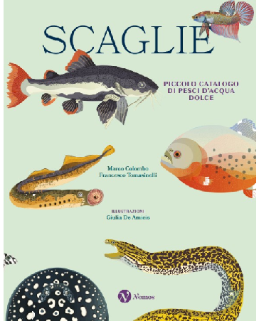 Scales. Small catalogue of freshwater fishes