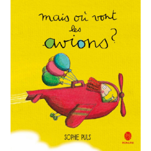 Where do the airplanes go