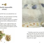 Foggy Hollow’s Mysteries