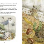 Foggy Hollow’s Mysteries