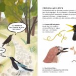 corvids